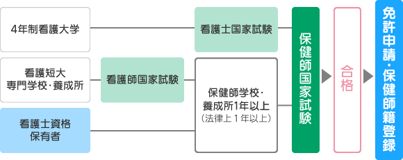 保健師免許取得までの流れ（保健師助産師看護師法より抜粋）