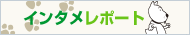 �C���^�����|�[�g