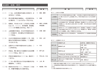 かんべえ　内容見本