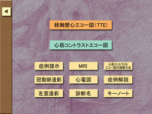 収載項目の一覧が表示されます。メインメニューで症例番号を選ぶと、この画面に移動します。TTE、TEEを押すと、動画にとびます。す